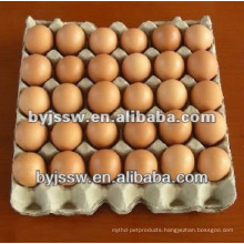 Recycling Waste Paper Egg Tray